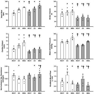 Arterial Baroreflex Inhibits Muscle Metaboreflex Induced Increases in Effective Arterial Elastance: Implications for Ventricular-Vascular Coupling